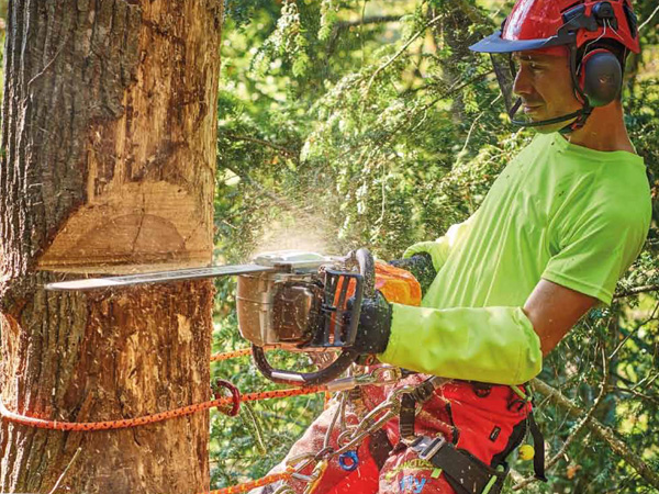 BÛCHERON ET TRAVAUX FORESTIERS